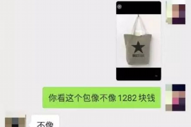 盐都盐都讨债公司服务