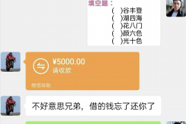 盐都为什么选择专业追讨公司来处理您的债务纠纷？